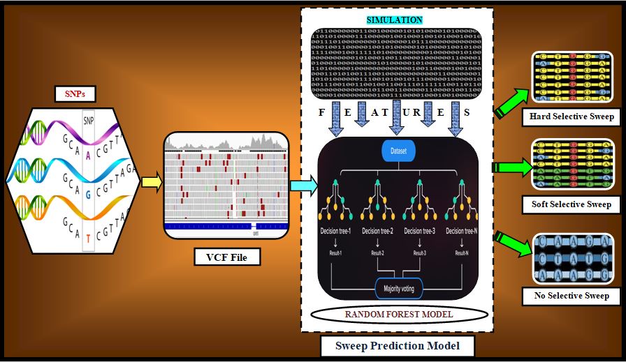 Selective Sweep Image